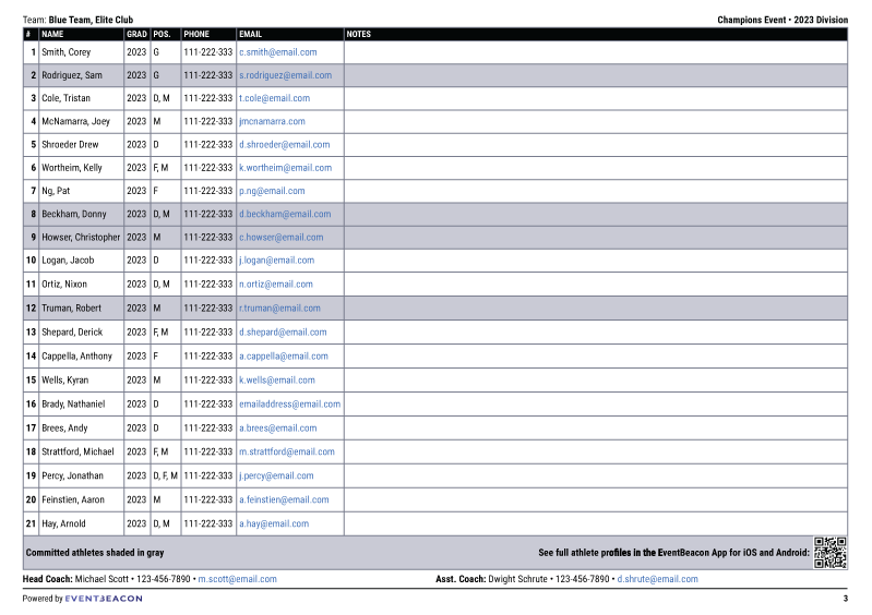 spreadsheet-roster-example.png